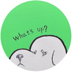 what's up?